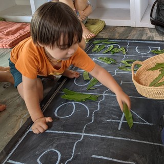 A child places leaves beside chalk numbers.