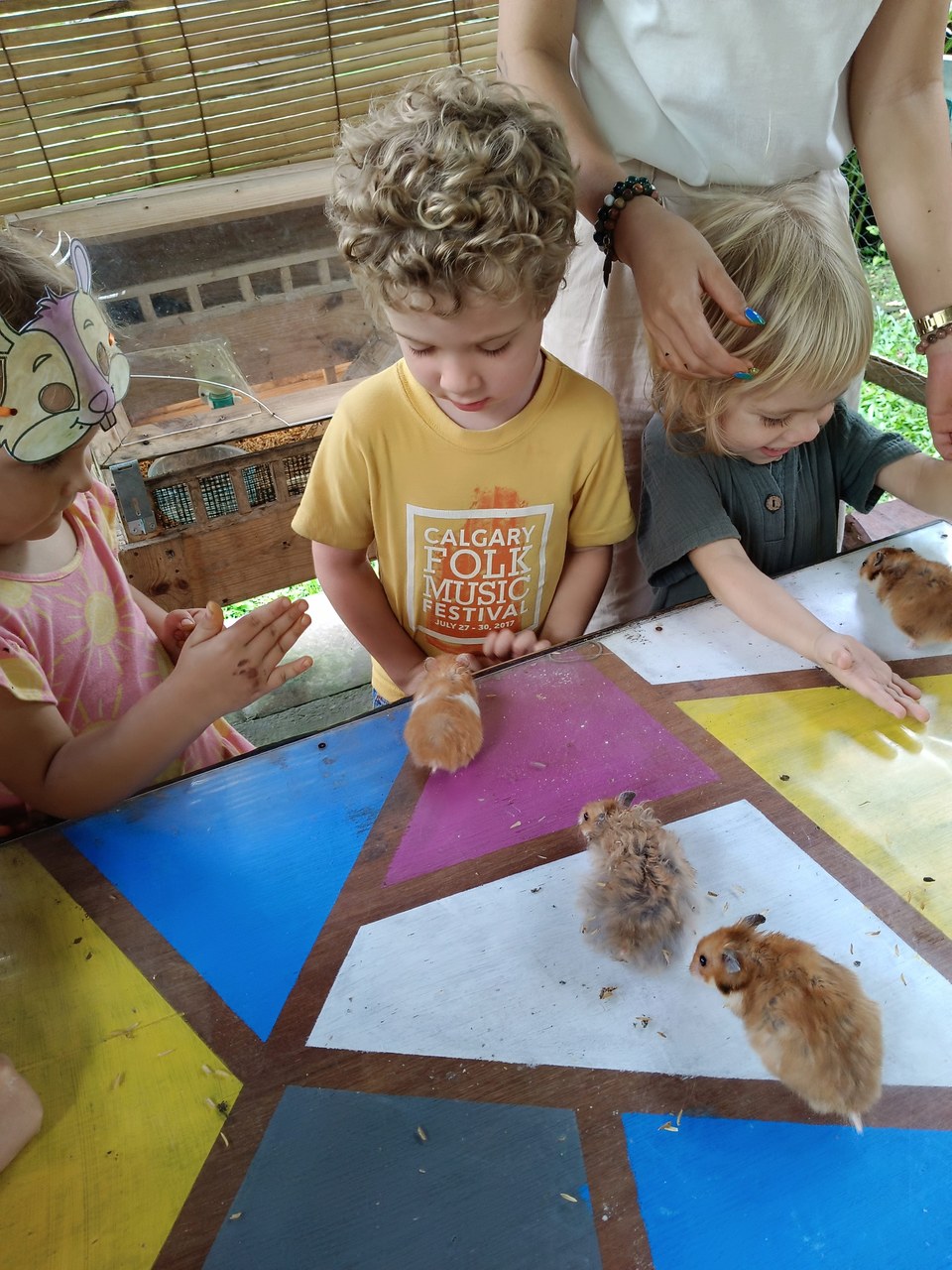 Children watch small chicks on paper at a classroom table.